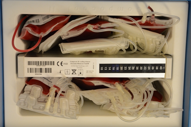 CJM_0463