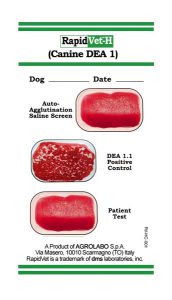 rapidvet-h-canine-1015174
